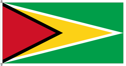 Bild von Fahne Guyana