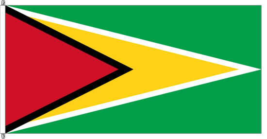 Bild von Fahne Guyana