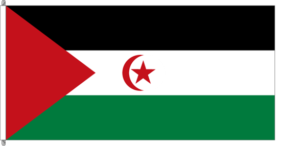 Bild von Fahne Sahwari Arab Democratic Republic